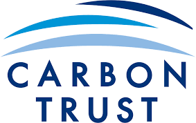 Low carbon emitted aluminium production