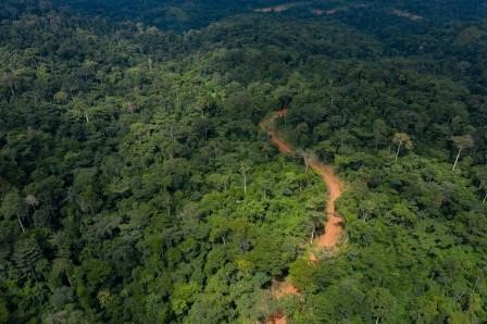 BMW Group, Tetra Pak, Schuco” join the movement against bauxite mining in Atewa forest