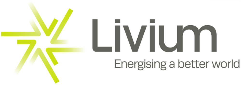 Livium targets rare earth recovery from EV batteries to tap into $9.6B global REE market