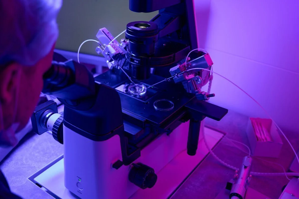 Could kitchen aluminium foil replace costly terahertz polarizers?