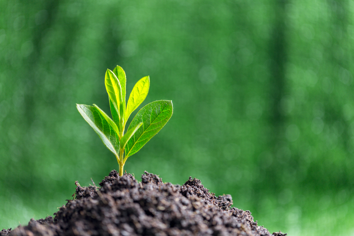 From mines to climate goals: Hindustan Zinc’s blueprint for sustainable growth