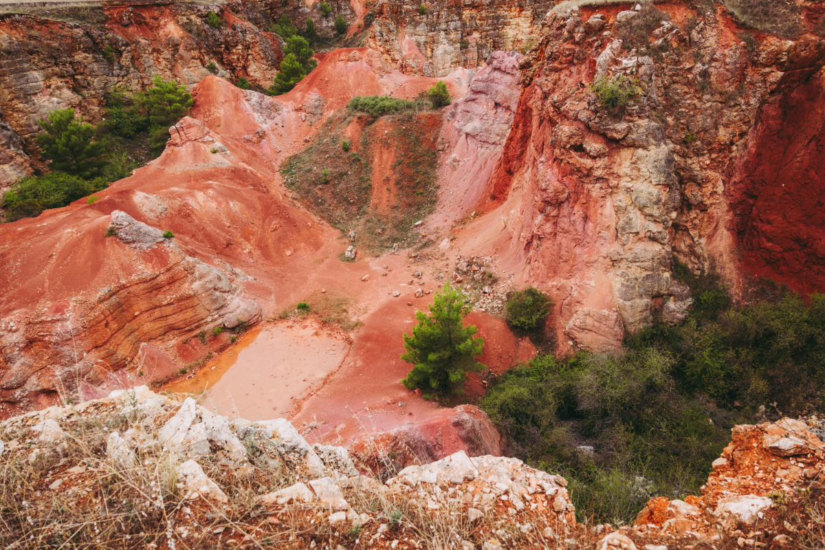 Congress Party urges review of the Koraput bauxite project