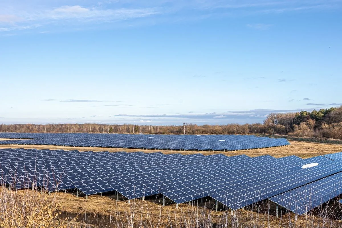 BoS contract rolled out for NTPC’s 900 MW solar facility