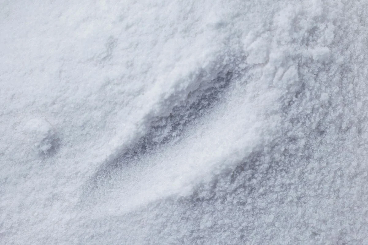 WEEKLY: Supply disruptions keep China's alumina prices largely steady