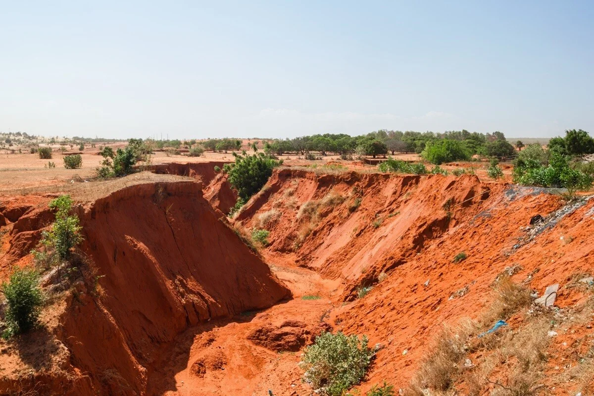 Guinea-Conakry limits its 2026 bauxite exports despite a 200 million tonne forecast