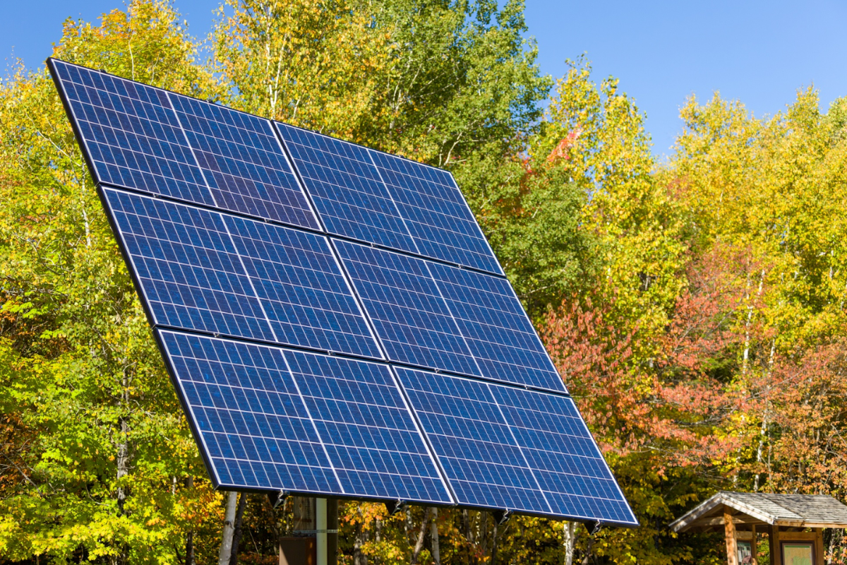 Tesla in talks for $2.9bn solar equipment deal with Chinese suppliers