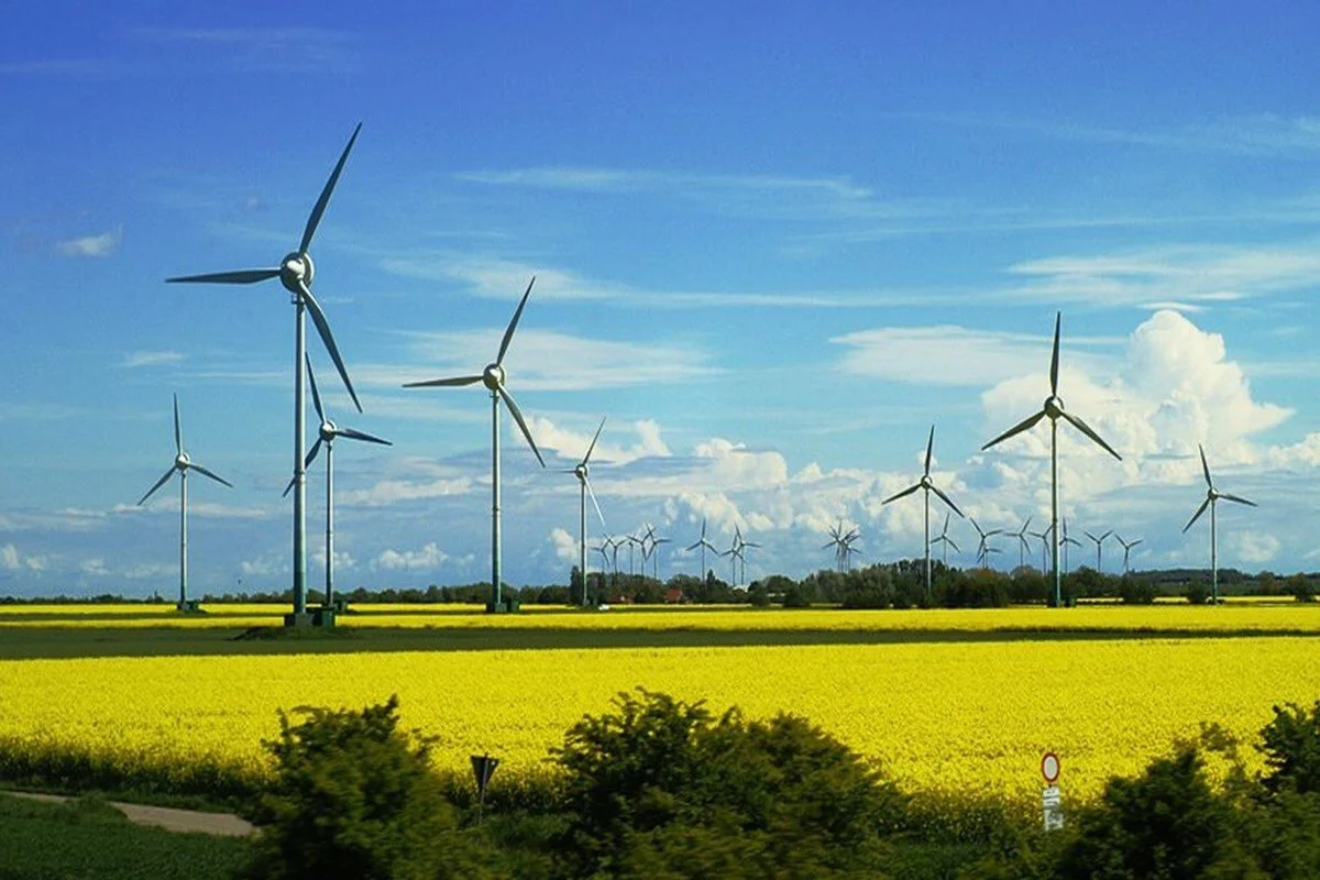 Odisha, India attracts $7.4 billion in renewable energy investments