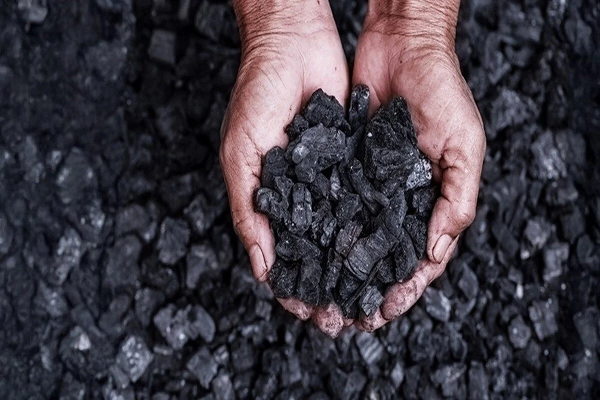 GACC: China's coal imports hit record high in December