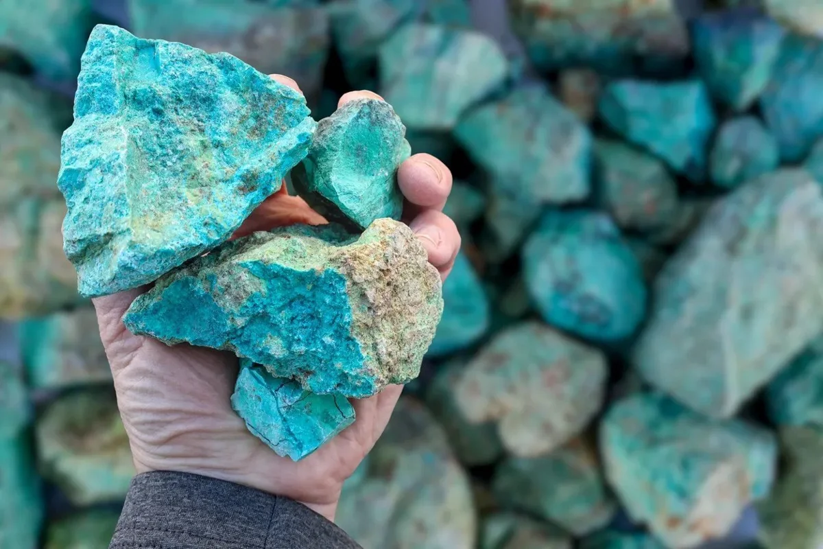 Vietnam’s rare earth export ban – imitating China, developing import-substitution, or laying the foundation for energy transition