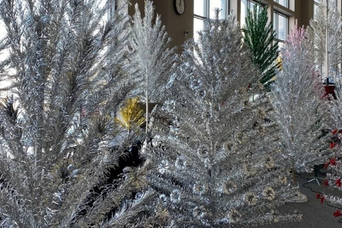 Aluminium Christmas trees take centre stage at Manitowoc Public Library