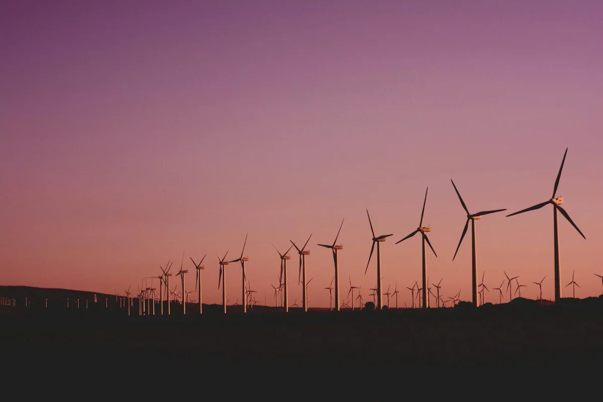 Oman and the Netherlands launch a strategic partnership to boost renewable energy development