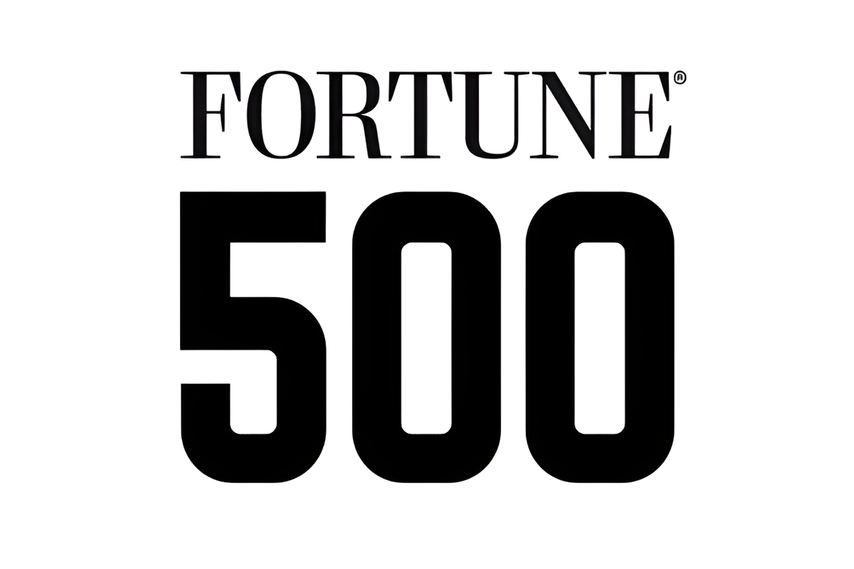 FLASH: Twelve Chinese non-ferrous firms make 2025 Fortune Global 500 list