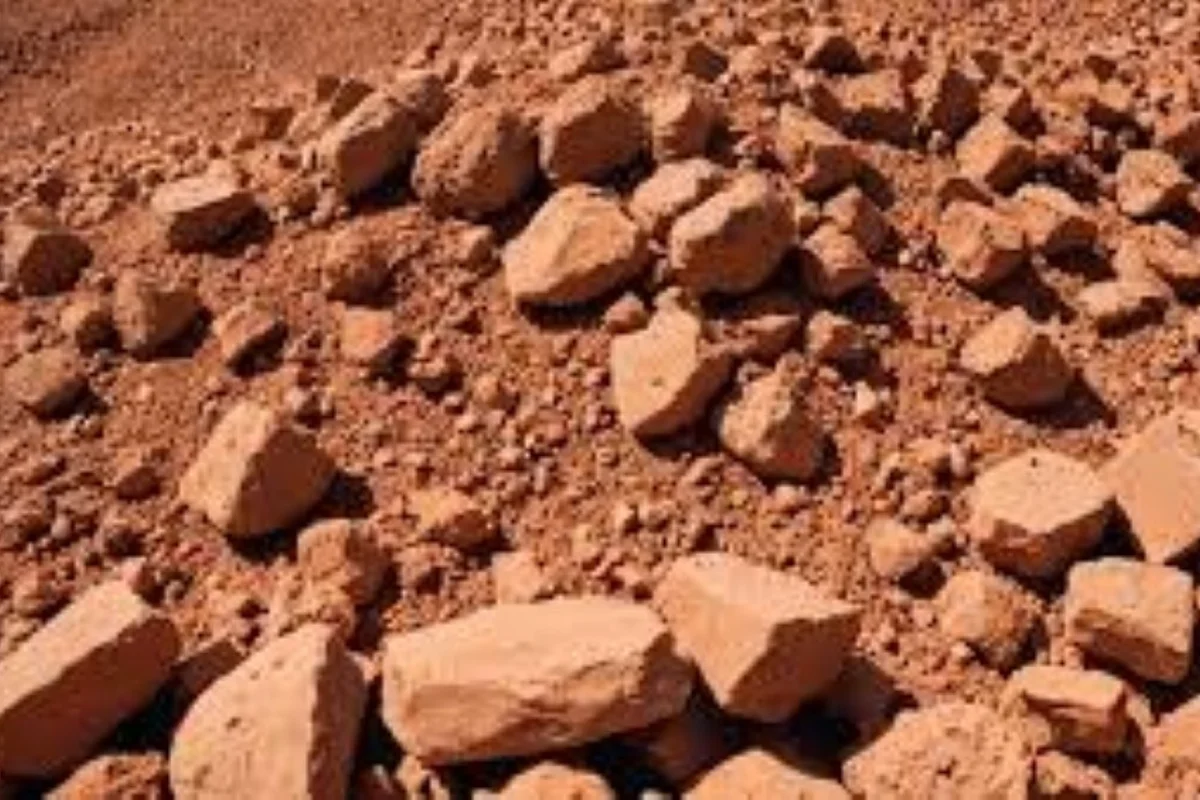 China’s demand surge fuels Guinea’s H1 bauxite exports to almost 100Mt in just 6 months