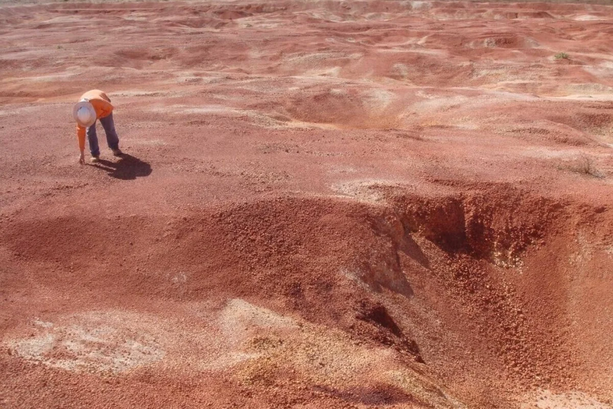 India becomes richer in minerals including bauxite, with FY24-25 surpassing the production of FY23-24