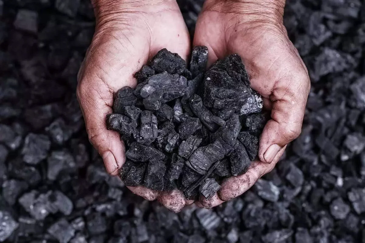 China's petroleum coke imports in Q1 2025 increased by 10.64% Y-o-Y, and imports in Q2 are expected to rise first and then decline