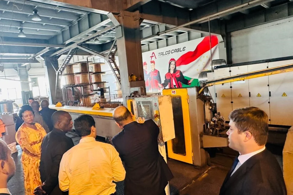 Zimbabwe focuses on aluminium production to enhance industrial metal supply