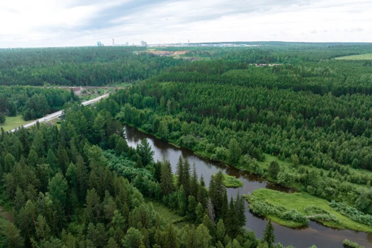 RUSAL proactively submits reports on biodiversity conservation and water resources management