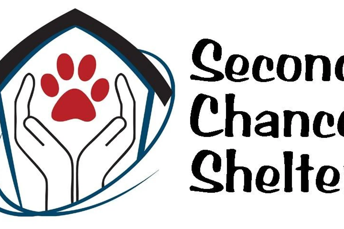 Sustainable initiative for homeless pets: Boaz–based animal shelter initiates aluminium can collection drive