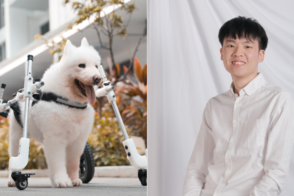 NUS student crafts super-light aluminium walker to assist senior dogs