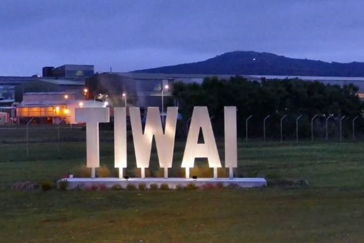 Green hydrogen can be a solution to keep Tiwai aluminium smelter operational beyond 2024: Fortescue