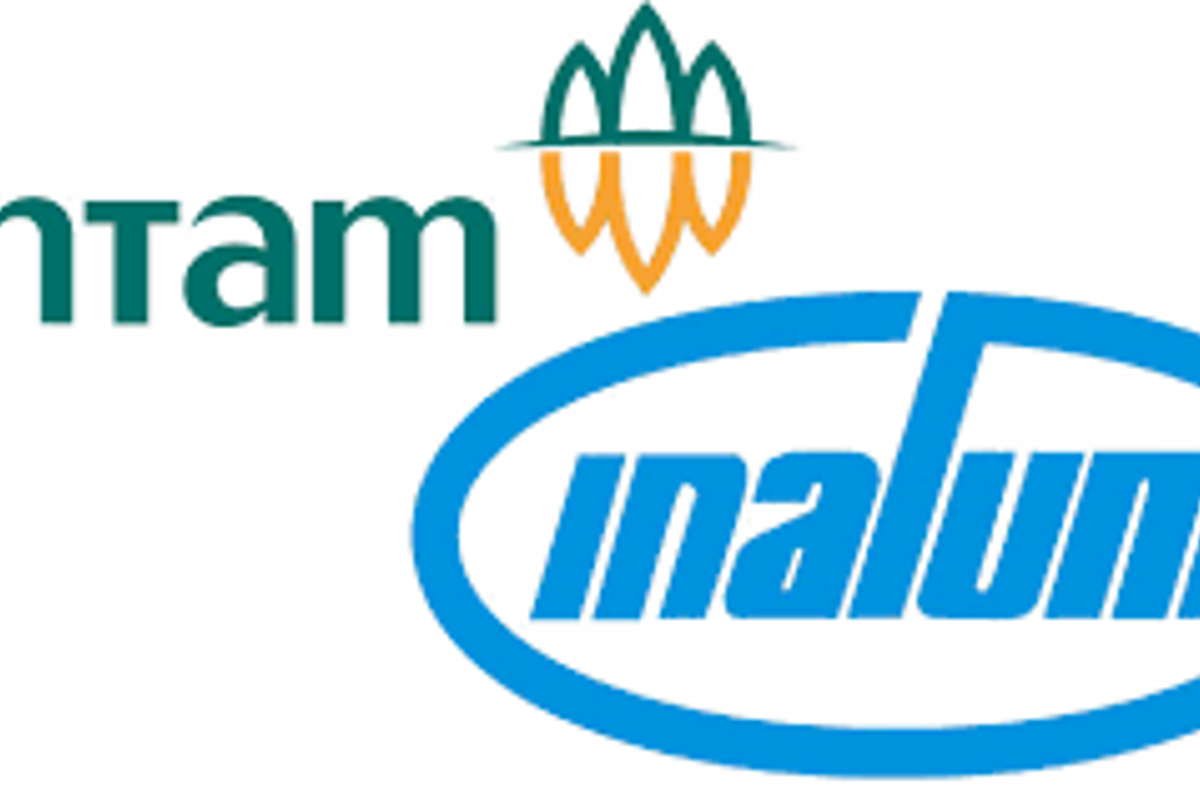Feud between engineering firms delays Indonesian joint venture Antam-Inalum’s alumina project till 2024