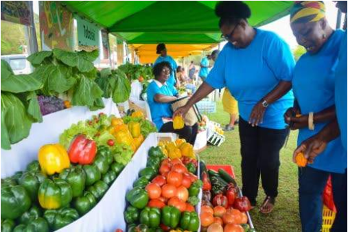 Noranda Bauxite organised expo on the theme 'agriculture meets mining' to demonstrate re-use of mined-out lands