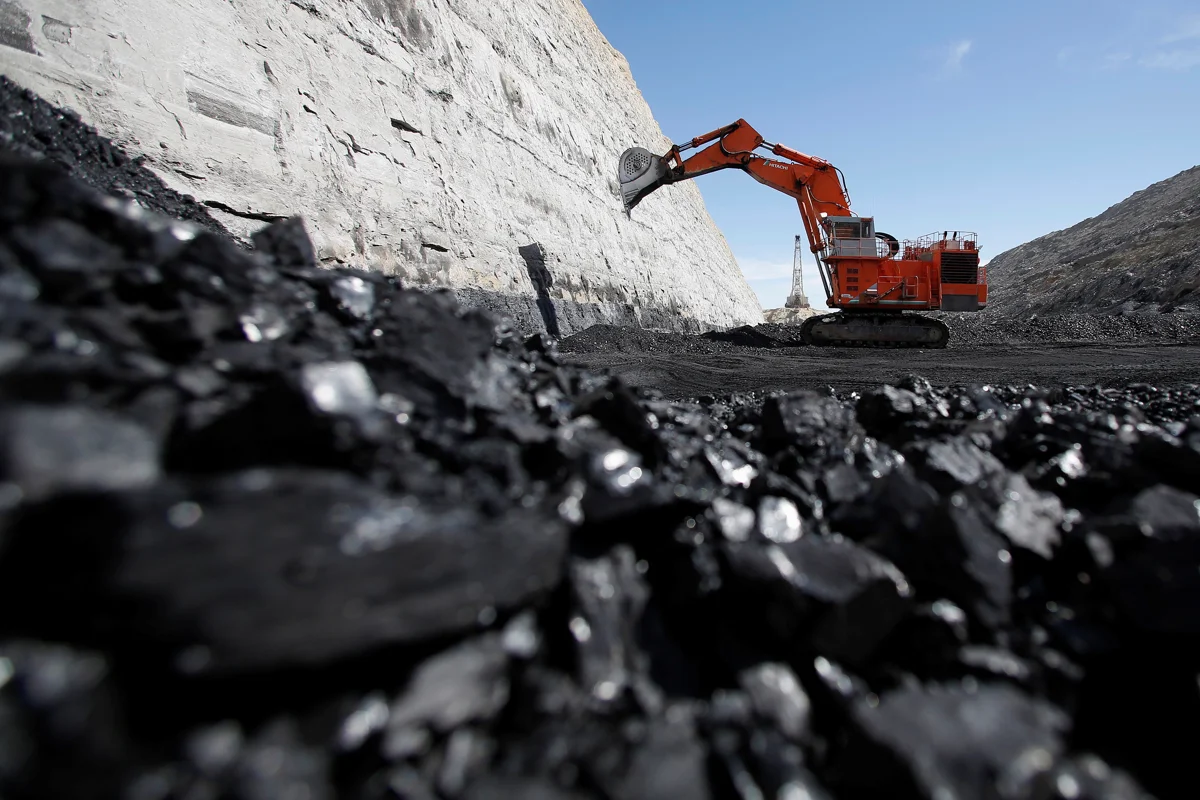 Coal price to come down, freight rates to harden