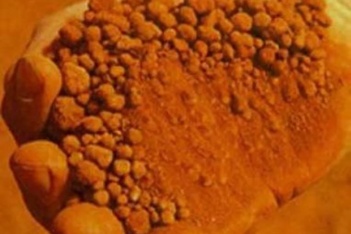 Marcventures merges with two mining firms